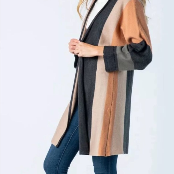 NWOT Baevely Colorblock Cardigan. Purchased from Vici “First signs of fall” - Picture 2 of 7